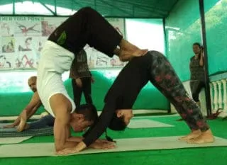 best yoga dehradun